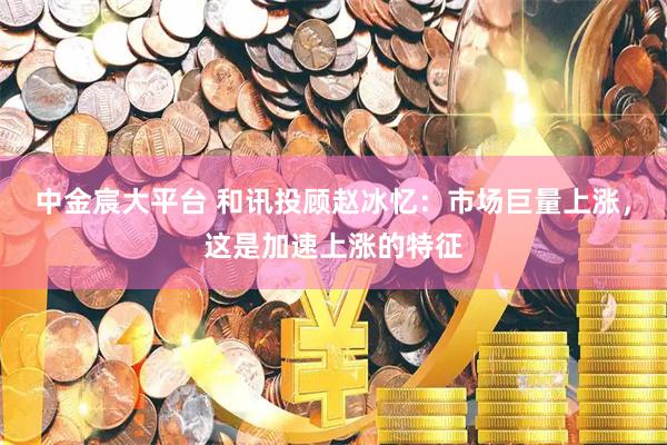 中金宸大平台 和讯投顾赵冰忆:市场巨量上涨,这是加速上涨的特征