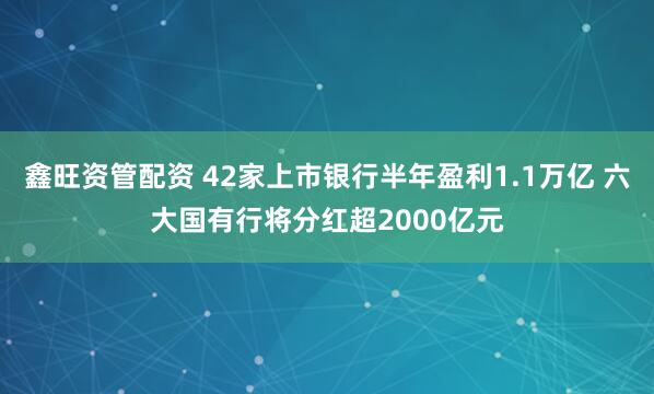 鑫旺资管配资 42家上市银行半年盈利1.1万亿 六大国有行将分红超2000亿元